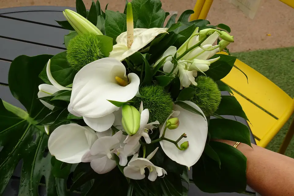 Jardinerie Garden — photo 6