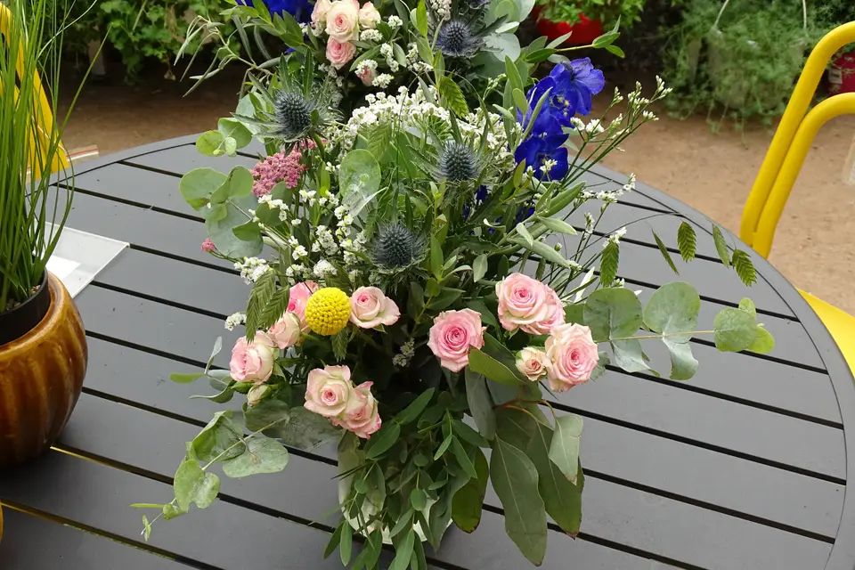 Jardinerie Garden — photo 8