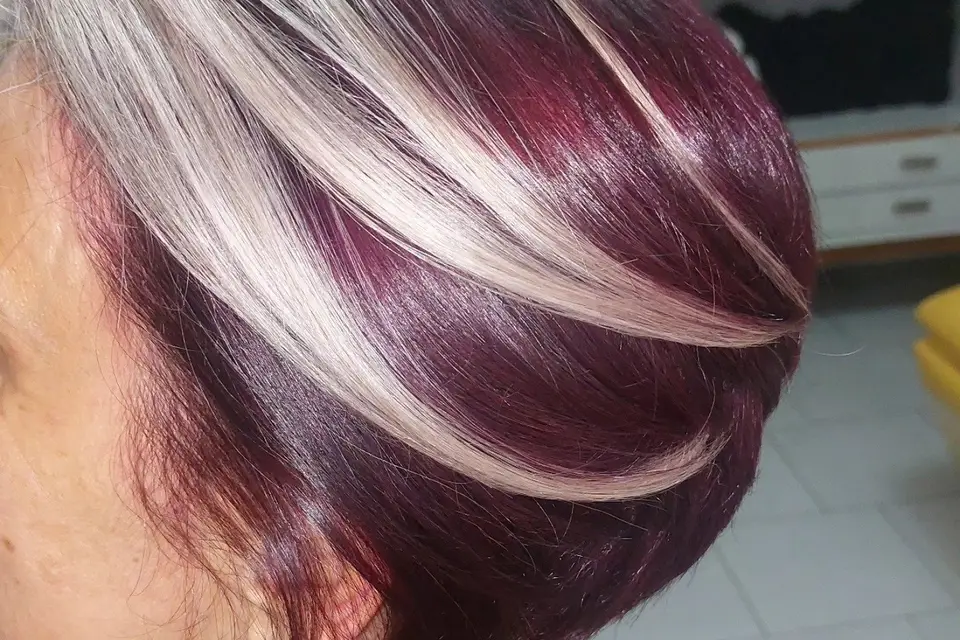 Magestifs — photo 8