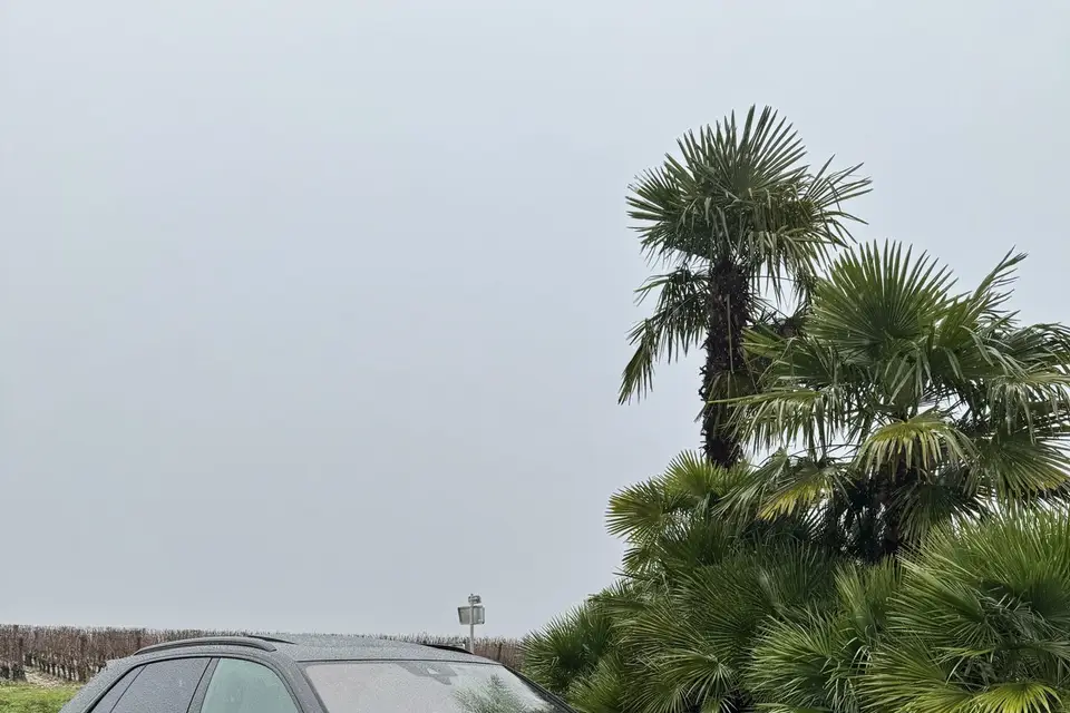 FullFer33 — photo 2