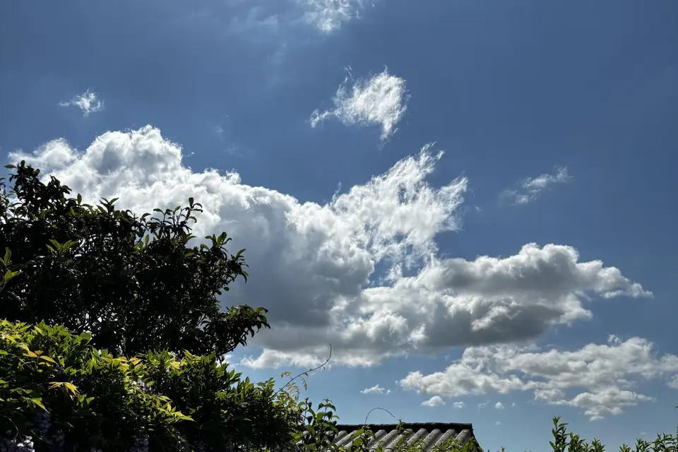 L’Atelier Poato — photo 8