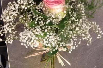 Pivoine Fleurs — photo 1