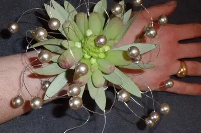 Pivoine Fleurs — photo 5