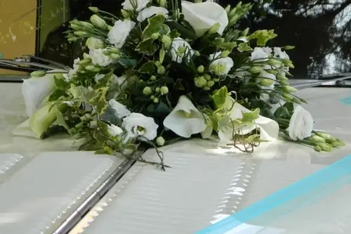 Pivoine Fleurs — photo 8