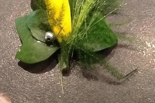 Pivoine Fleurs — photo 2