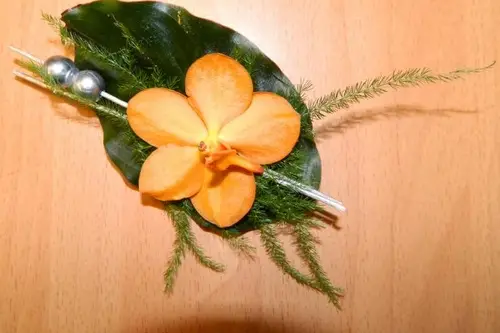 Pivoine Fleurs — photo 3