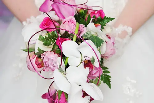 Julien Boisard Photographe