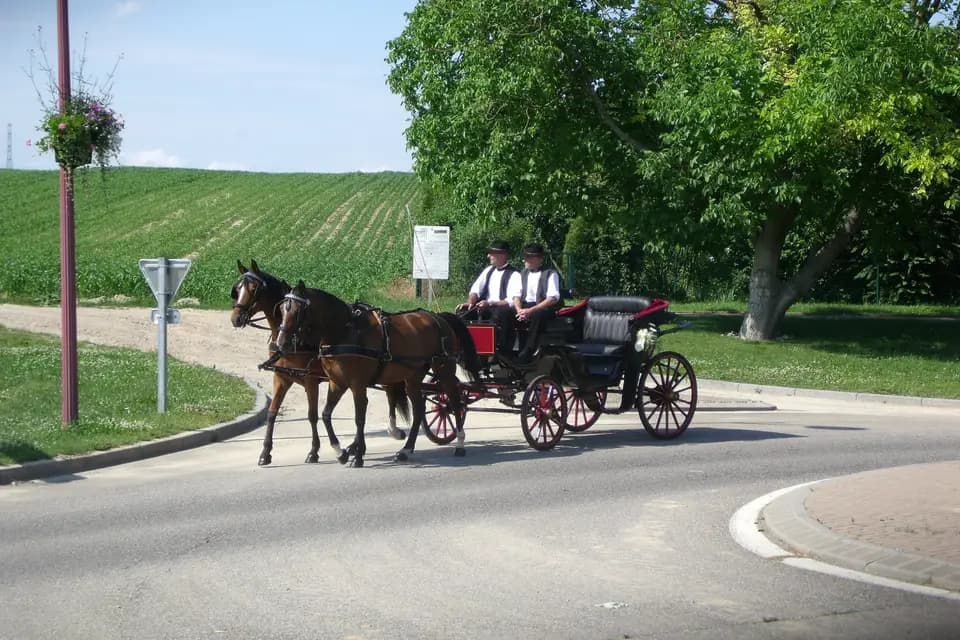 Au Bruit du Sabot — photo 3