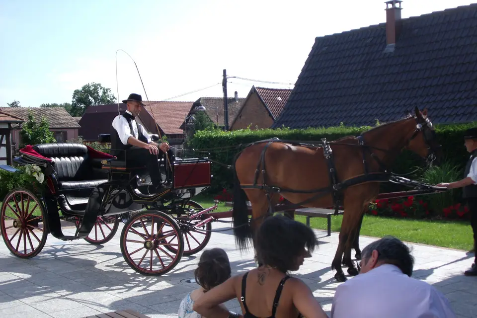 Au Bruit du Sabot — photo 5