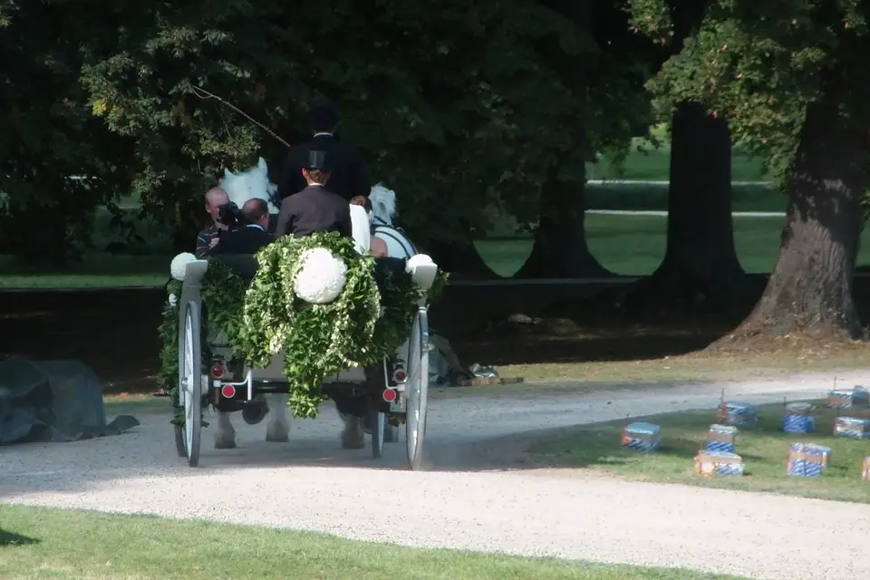 Les attelages de Sacy — photo 3