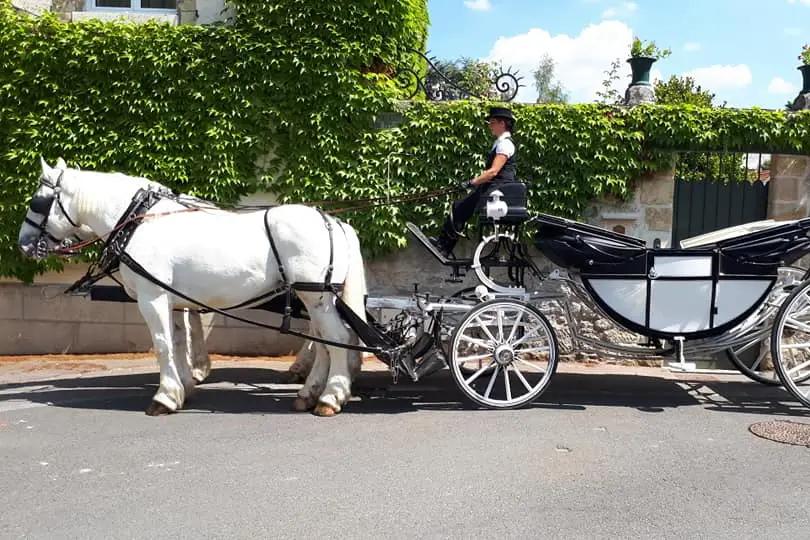 Les attelages de Sacy — photo 1