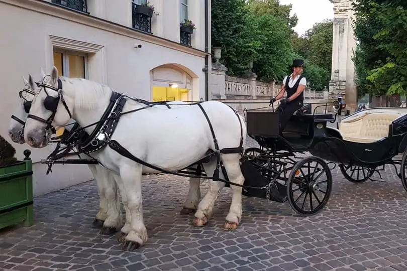 Les attelages de Sacy — photo 2