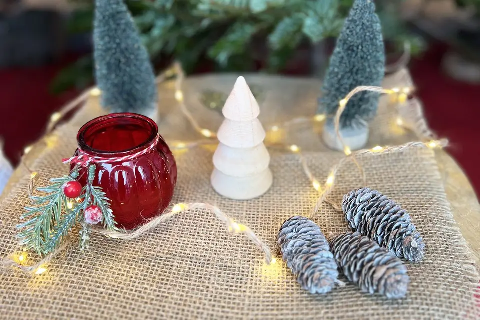 Fun & Pro — photo 7