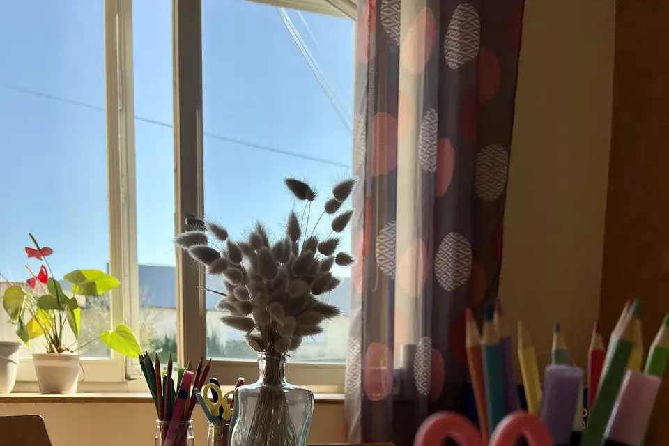 Fun & Pro — photo 1