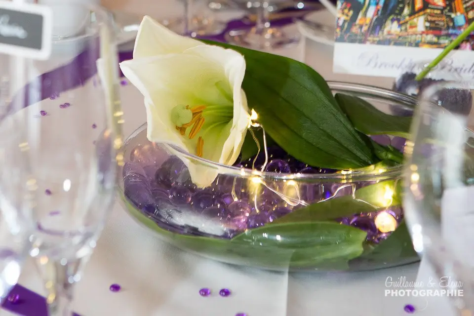 JJTendance — photo 8