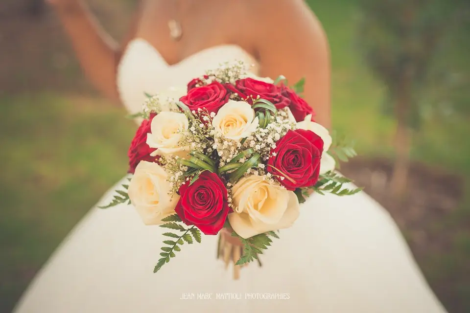 Skorp Photos — photo 1