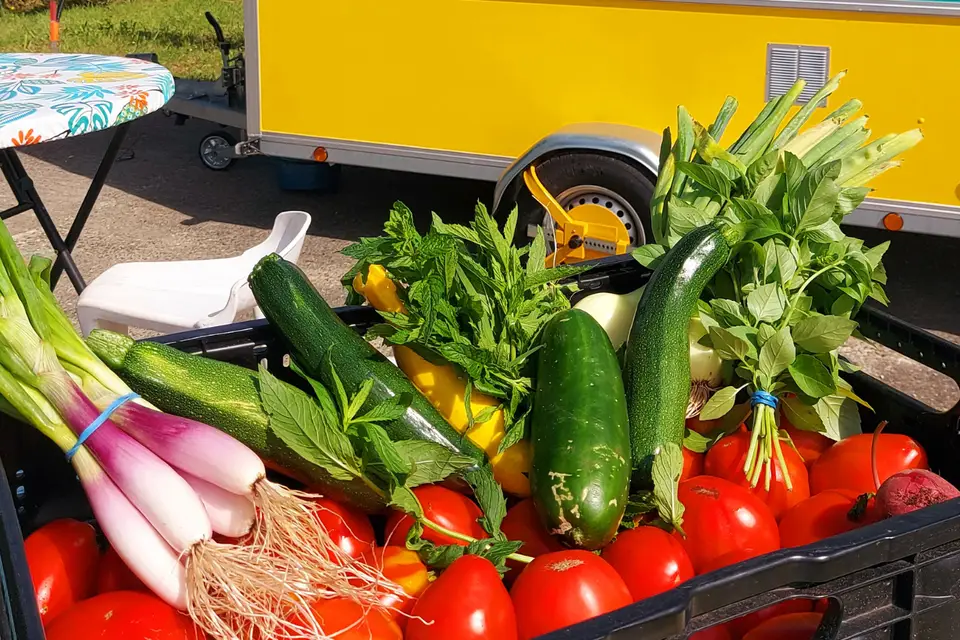 La Loca Locale — photo 2