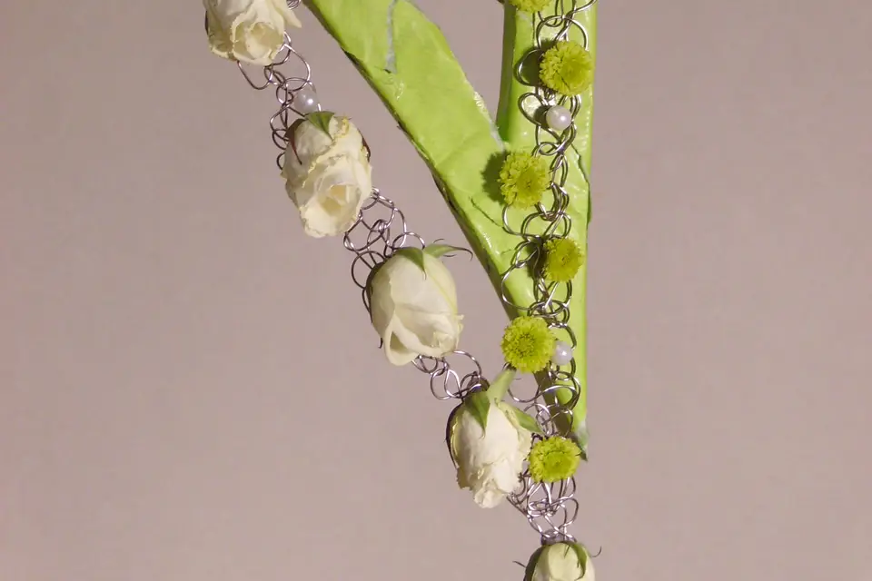 Miltonia — photo 7