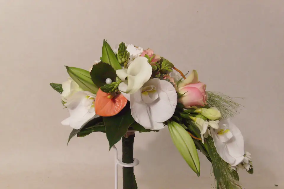 Miltonia — photo 4