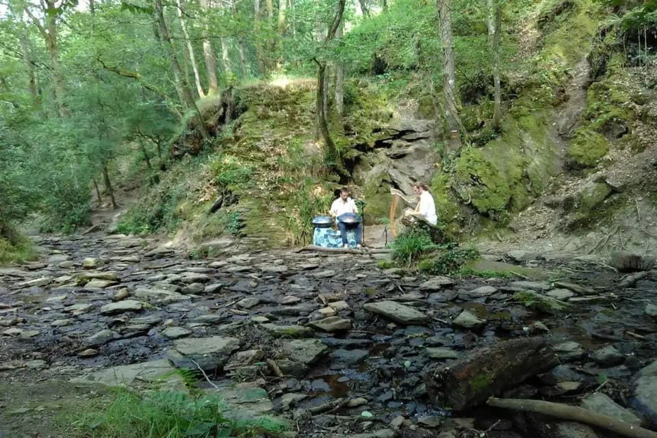 Ogma - Harpe & Handpan — photo 1