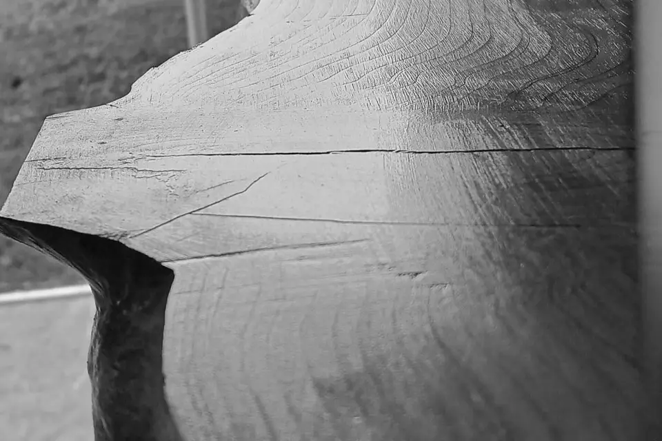 Au Bois des Rêves — photo 2