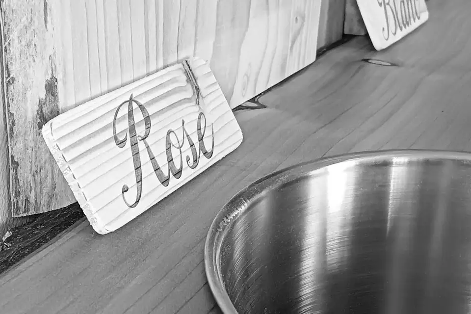 Au Bois des Rêves — photo 4