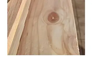 Au Bois des Rêves — photo 7