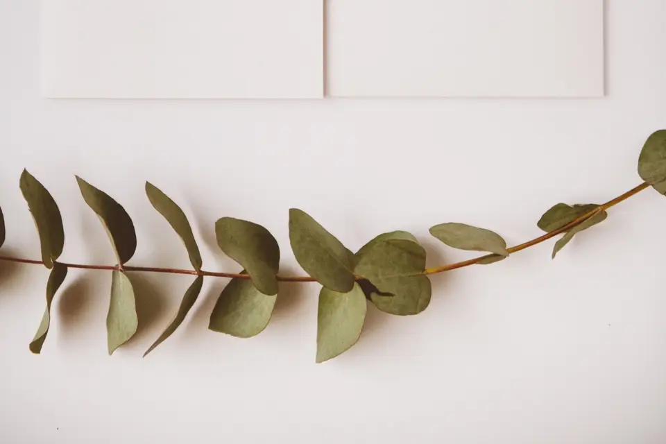 BL Créations — photo 5