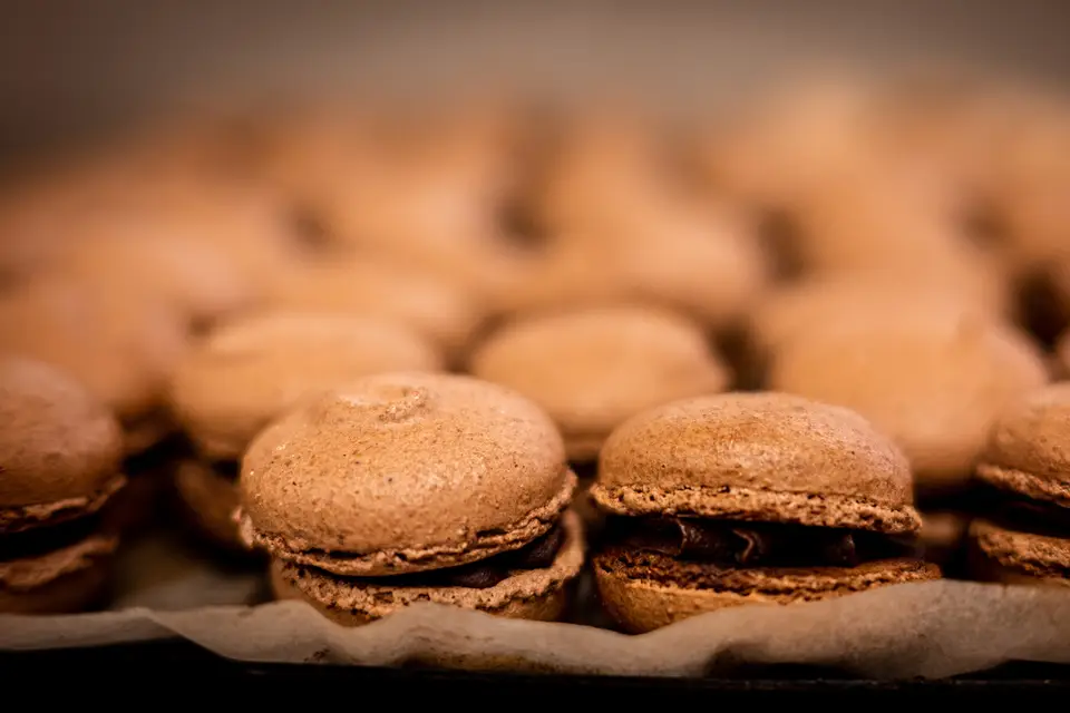 Une Envie de Saison — photo 1