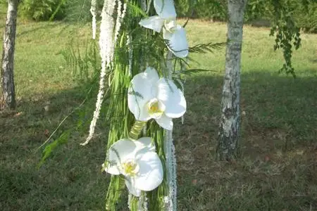 MCP Organisation — photo 3