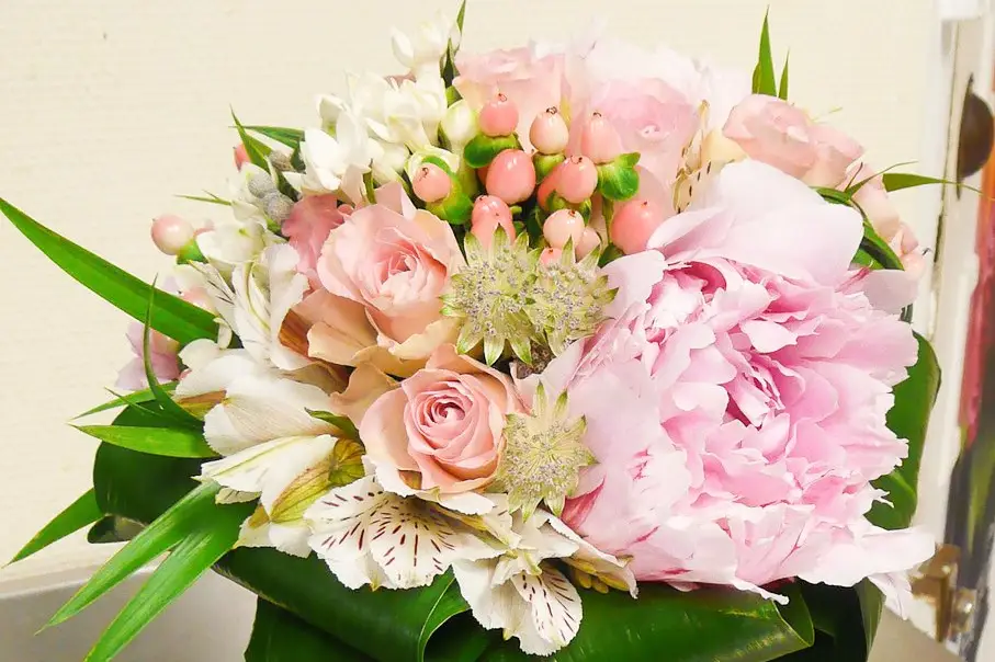 L'Aralia — photo 2