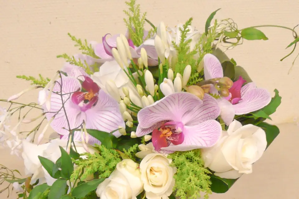 L'Aralia — photo 5