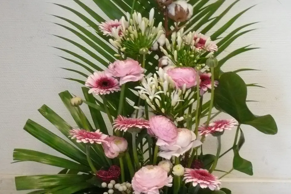 L'Aralia — photo 4