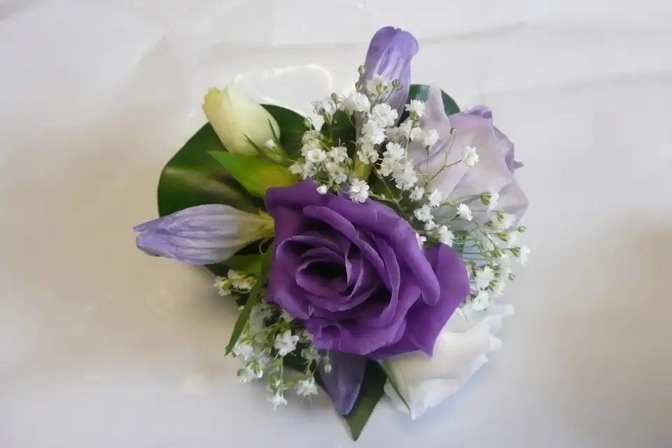 L'Aralia — photo 3