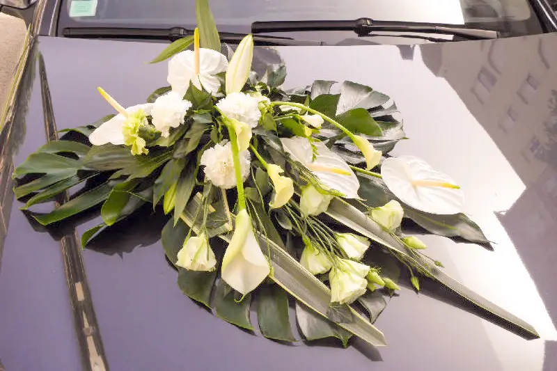 L'Aralia — photo 6