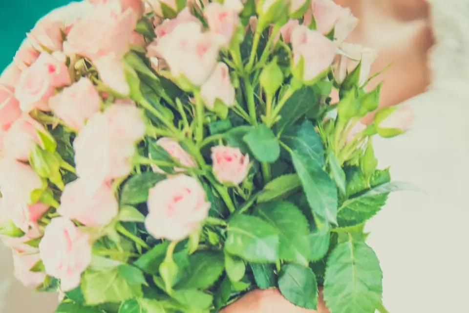 Tran K Thai Photographie — photo 7