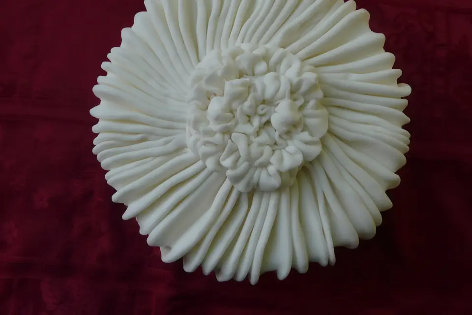 Delit Gourmand — photo 4