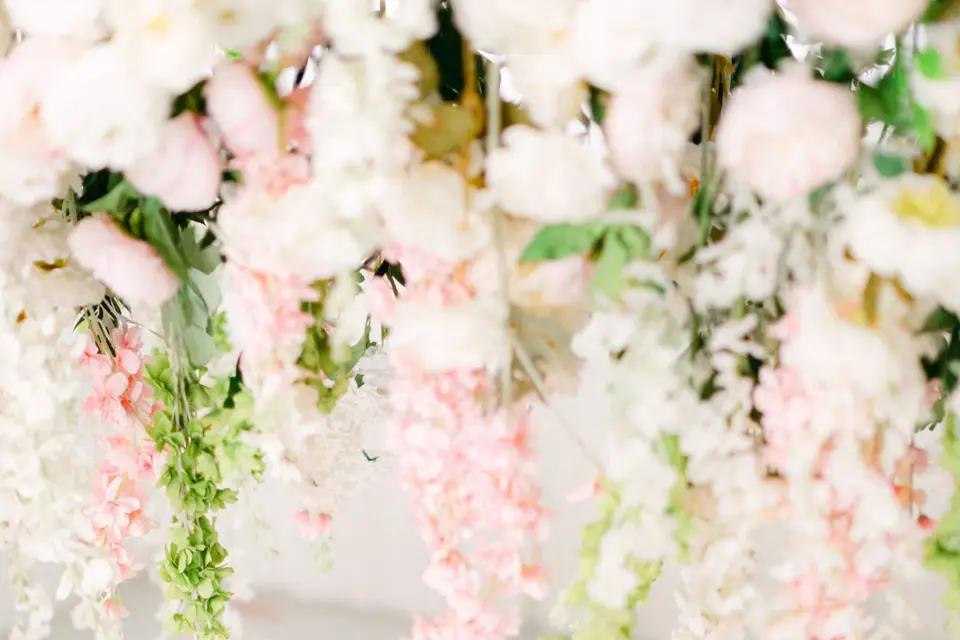 Events_74 — photo 2