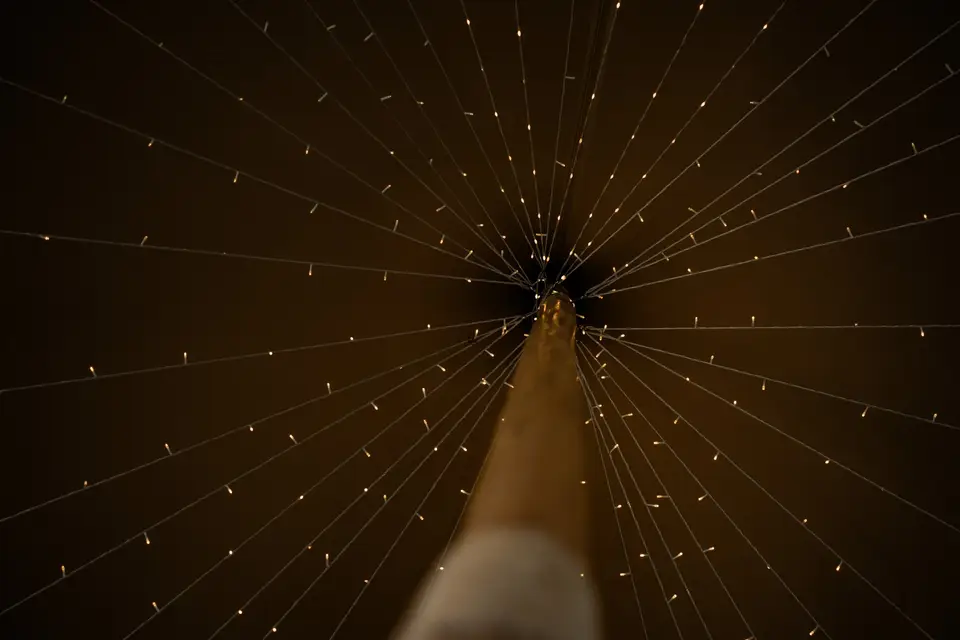 Domaine Laurens — photo 8