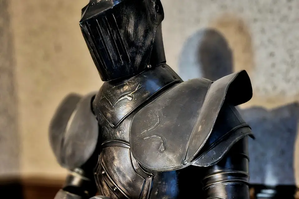 Château Louis XI — photo 2