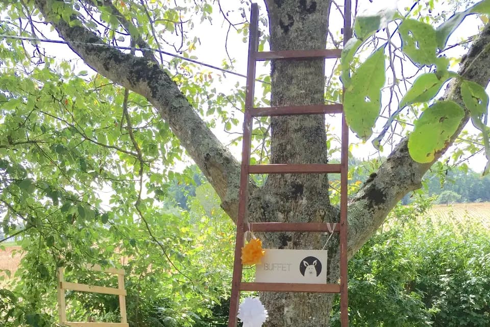 Oh my way — photo 7