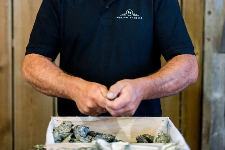 Domaine Le Herre — photo 6