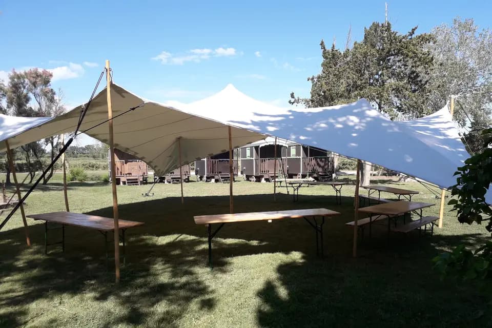 Stretch Tente — photo 4