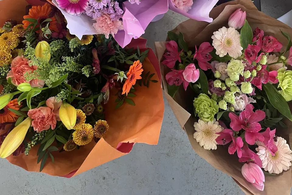 Jardinerie Lagadec — photo 1