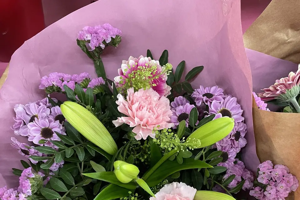 Jardinerie Lagadec — photo 2