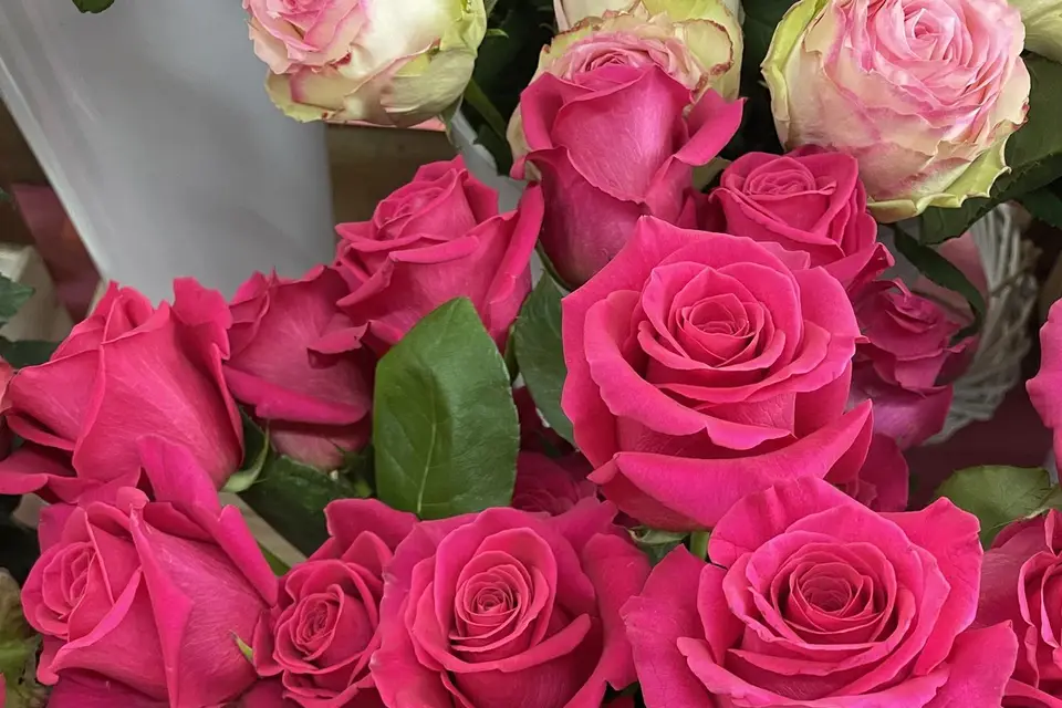 Jardinerie Lagadec — photo 7