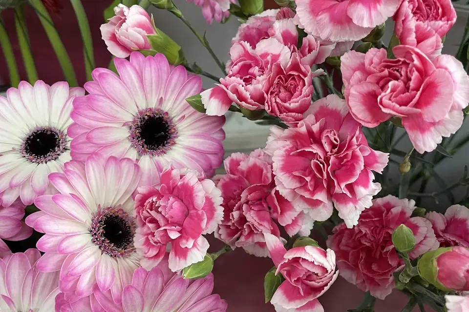 Jardinerie Lagadec — photo 3