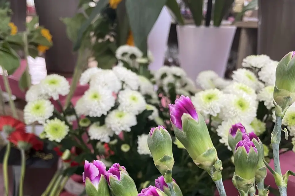 Jardinerie Lagadec — photo 4