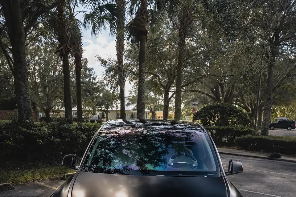 DSJ Driver — photo 5