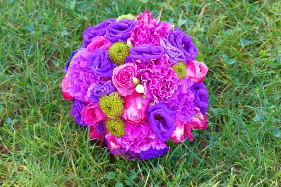 Poppin's Evénements — photo 6